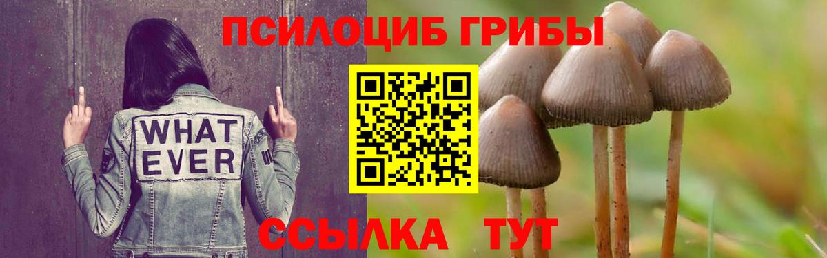 Псилоцибиновые грибы мицелий  Вход с VPN  Мурманск 